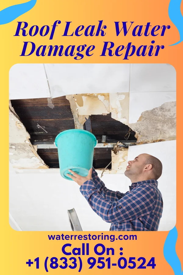 Roof Leak Water Damage Repair in Provo, UT